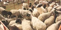 اصفهان خیابان سلمان فارسی