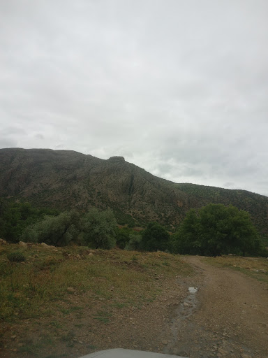 رشته کوههای ممو بیضا