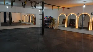 آیرال
