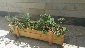 فتوحی