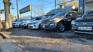 صافکاری و نقاشی شائولین