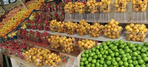 میوه فروشی برادران شعبانی