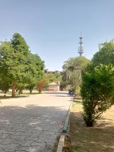 پارک شهید صباغیان 5