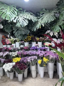 گلفروشی گلبرگ طلايي