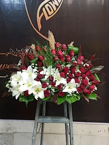 پخش گل ایران