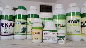 نیک نهاده نسل نو