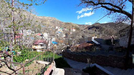 برگ جهان