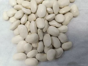 بازرگانی کلان آذر 5