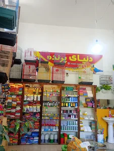 دنیای پرنده