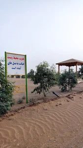 Prof. Kordvani Forest Park