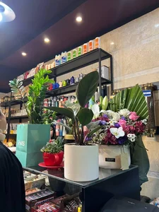 قهوه بلوط 2