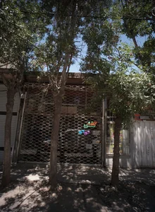 کفش سی سی