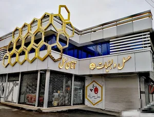 ASALE HASANZADEH
