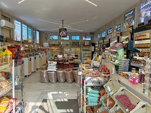 ارگانیک سرای محمدیان