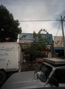 پروتئین برتر
