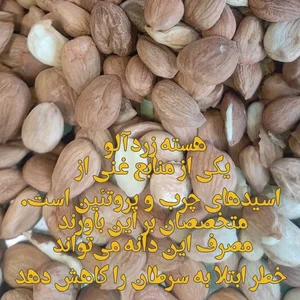 آجیل و خشکبار بابایی - بابآجیل 5