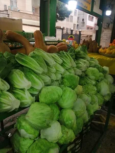 میوه فروشی 2