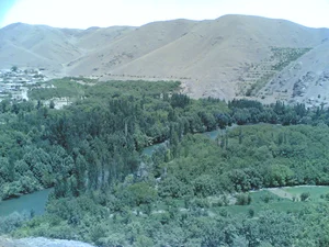 فست فود