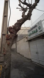 موسسه آموزش عالی آزاد فرهنگ متین 2