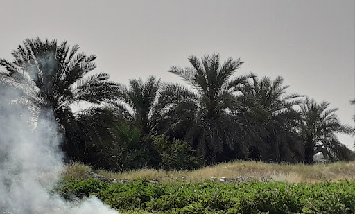 محله صفرپور