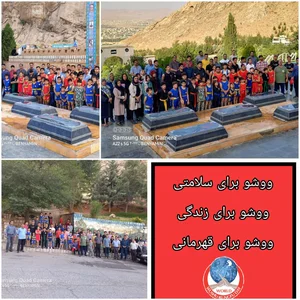 باشگاه ووشو و دفاع شخصی نوین 3