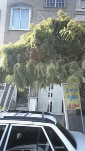 فروشگاه درب و پنجره نوری 2
