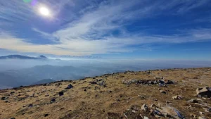 بهلول داغی