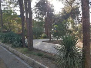 بوستان فرهنگیان 3