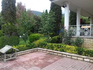 ثامن الائمه