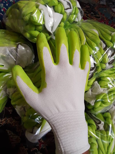 گروه صنعتی پویا چوب