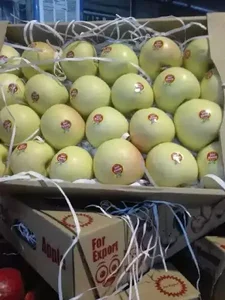 میدان مرکزی میوه و تره بار شهرداری سبزوار