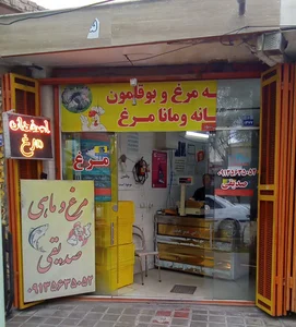 مرغ و ماهی صدیقی 3