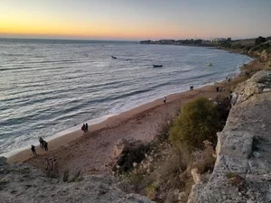 بوستان ساحلی ریشهر 2