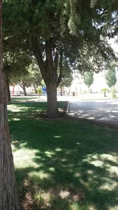 بوستان صادق 2