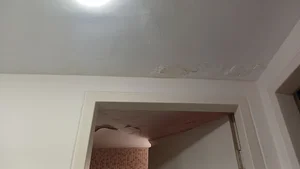 گچ کاری وگچبری الله یاری