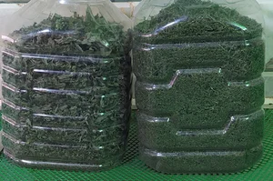 سبزیجات اماده طبخ ریحون