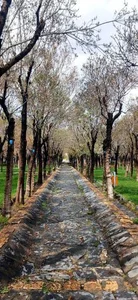 بوستان پیروزی 3