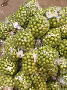 بار فروشی و حق العمل کاری نائینی