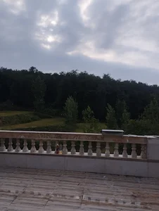زمین خانوادگی پهلوان نژاد