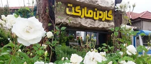 Garden Market