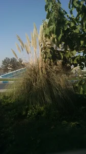 ساختمان یاسین