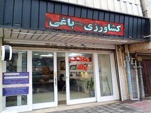 املاک راد 5