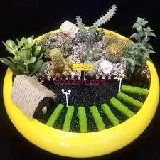 خانه گل و کاکتوس