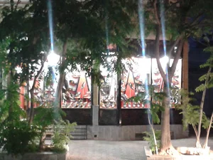 کفش البرز