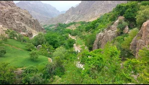 پست بانک