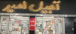آجیل آمیر