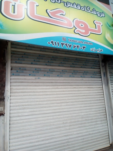 پرنده سرای توکان