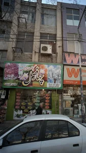 گیاهان دارویی چهار فصل 4