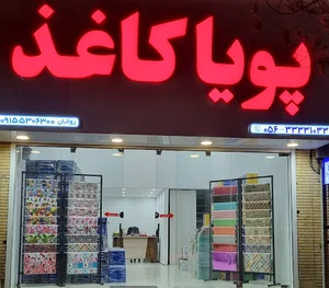 پویا کاغذ