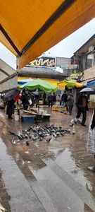 سلام آرشیتکت
